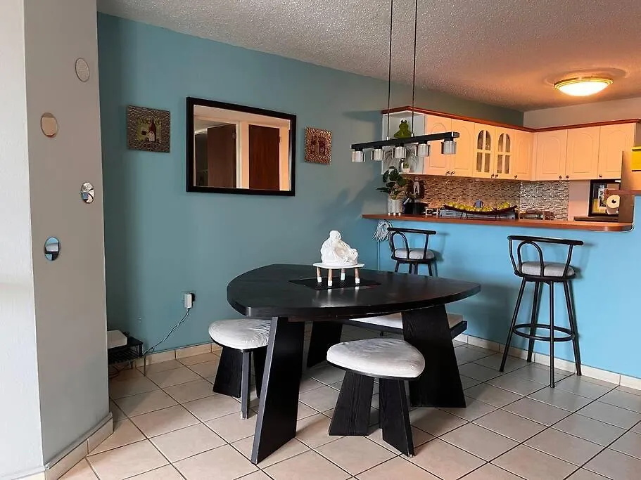 Penthouse In San Juan Apartment Puerto Rico