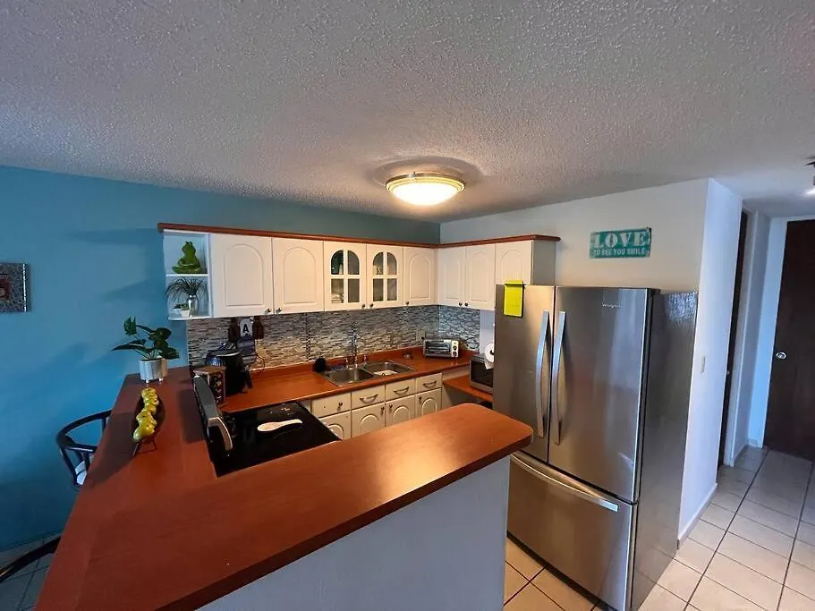 Penthouse In San Juan Apartment